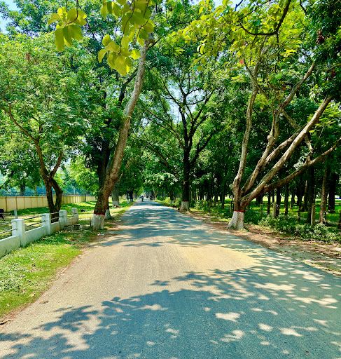 Rajshahi Cadet College Park