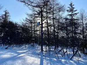 The Okha City Park