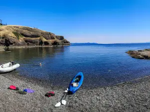 Tribune Bay Campsite