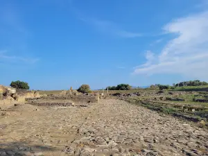 Archaeological Park of Sybaris