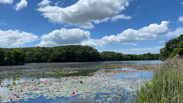 Onuma Fishing Park (Onuma Campsite)