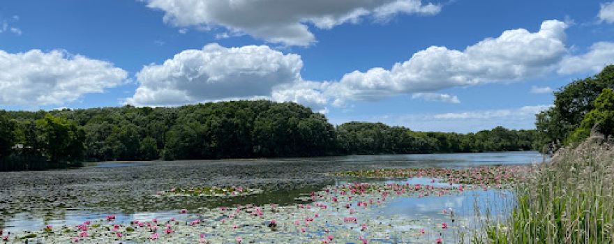 Onuma Fishing Park (Onuma Campsite)