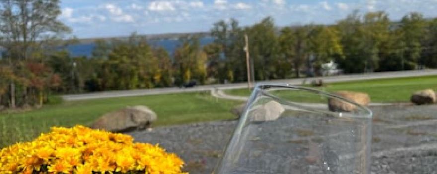 Scout Vineyards