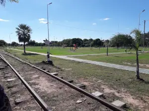 Pulmón Verde-Tigre