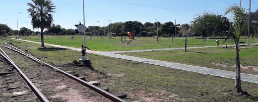 Pulmón Verde-Tigre