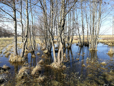 Stora Parnassen