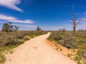 Mungo lookout