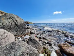 Ristinge Klint