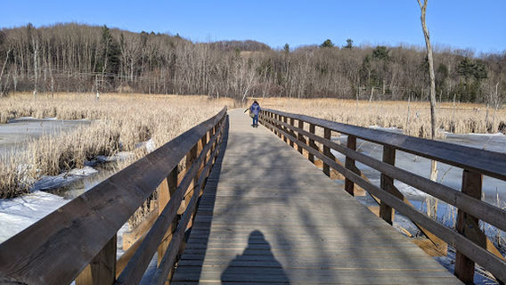 Marais Réal D.-Carbonneau