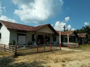 PT. Mas 1 Estate, Sanggau