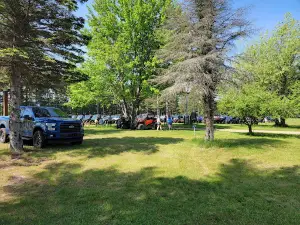 Skinner Park