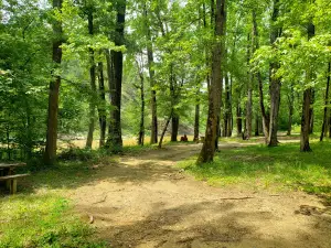 River Bluff Recreation Area