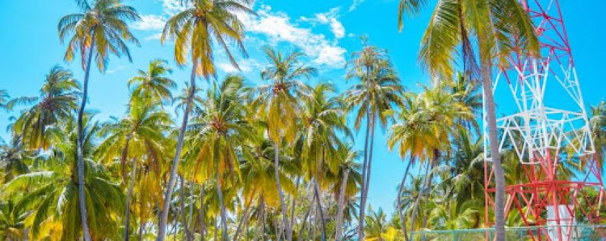 Vaadhoo