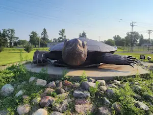 Rusty the Turtle