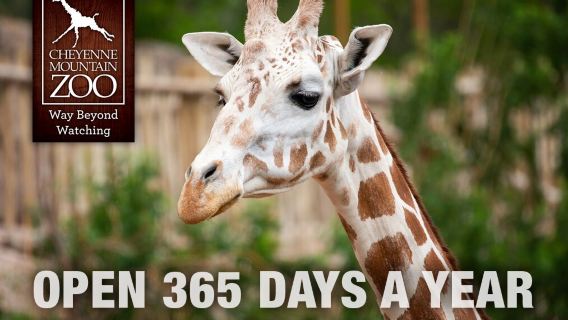 Cheyenne Mountain Zoo
