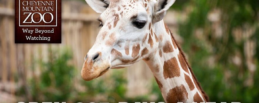 Cheyenne Mountain Zoo