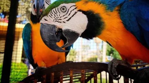Alexandria Zoo attraction in Egypt