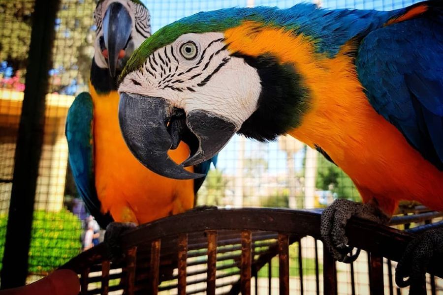 Alexandria Zoo