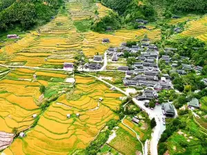 Shangbao Guguo