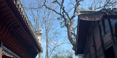 台江苗族刺綉博物館