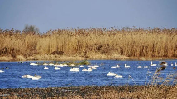 Suyahu Lake Scenic Area