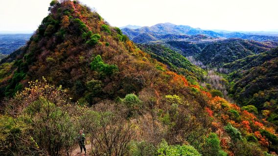 Wuduo Mountain Scenic Area