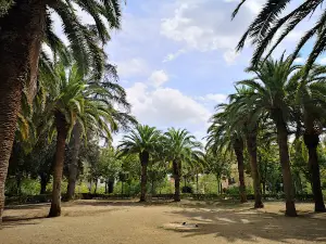 Parc-bosc Municipal