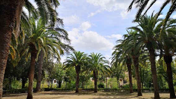 Parque-Bosque Municipal