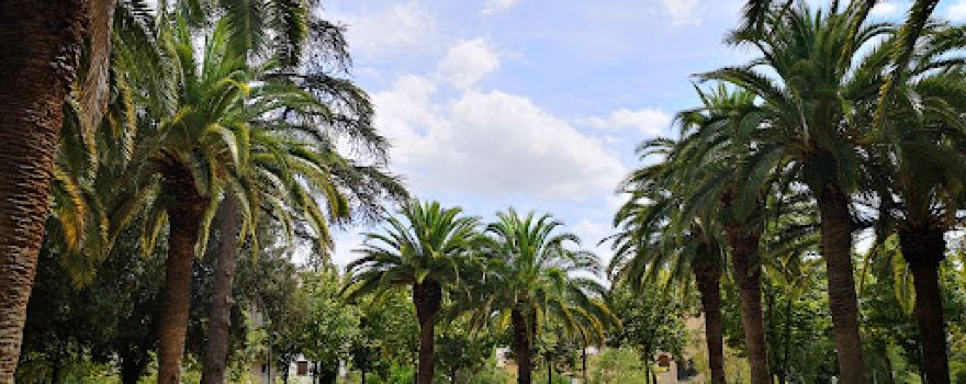 Parc-bosc Municipal