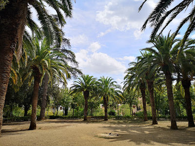 Parc-Bosc Municipal