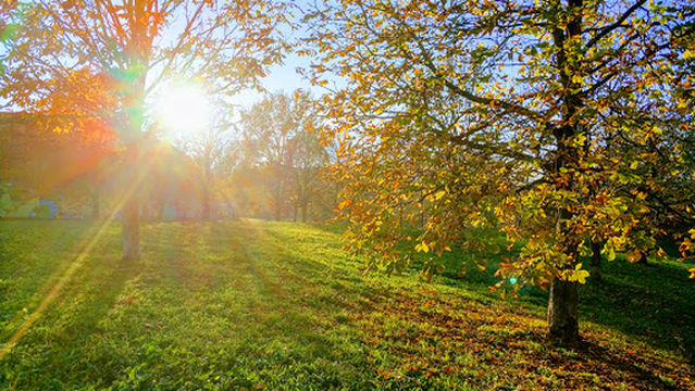 Giardino Lunetta Gamberini