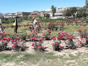 Sector P2 Playground