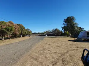 Gilgandra Sporties
