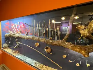 Eastern Trails Museum