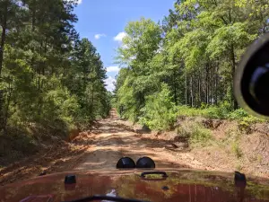 Ocmulgee Wildlife Management Area