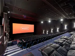 Multiplex Victory Plaza