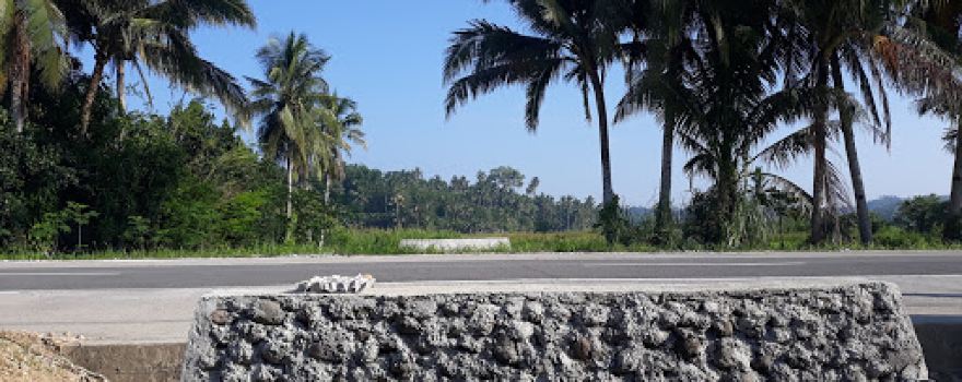 Bonga Eco Park
