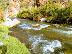 Compuertas del Río Valle Fértil