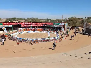 Traditional Wrestling Arena