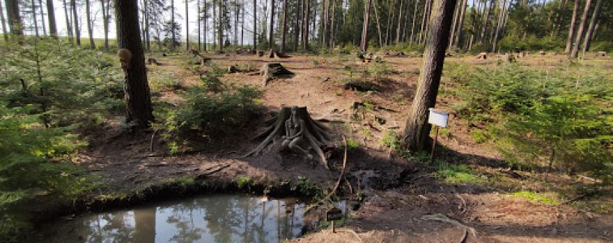studánka Pilávka