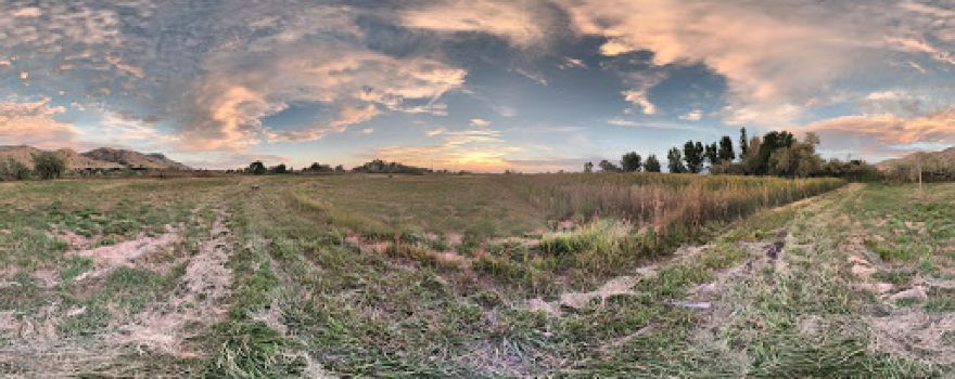 Dale Young Nature Park