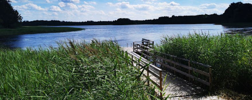 Salmeja skatu tornis
