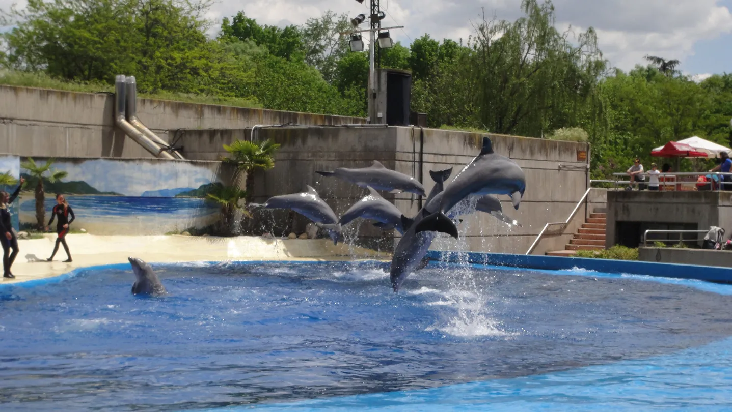 4_Zoo Aquarium de Madrid