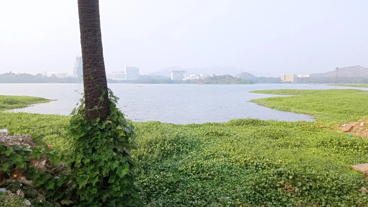 5_Powai Lake