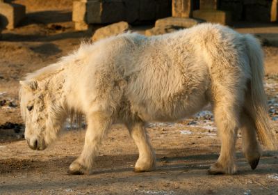 Liberec Zoological Garden