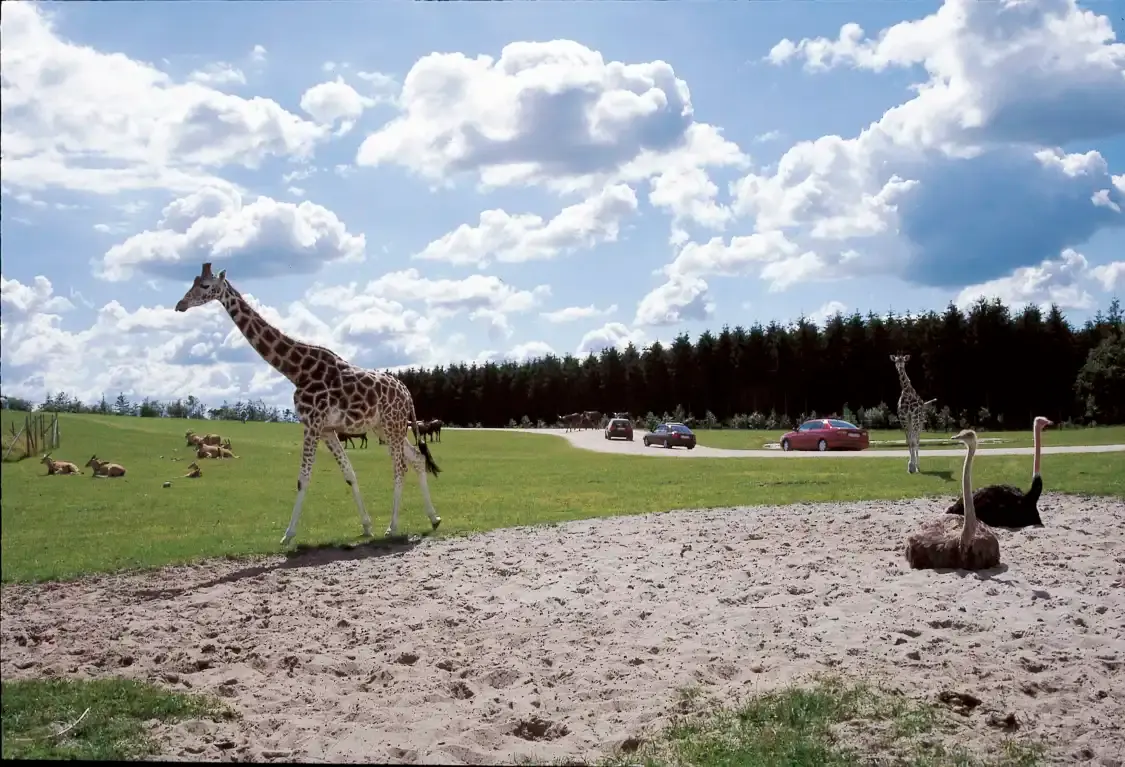 Hotels near Givskud Zoo Zootopia