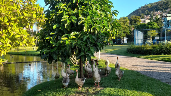 Parque Municipal Horto de Maruipe