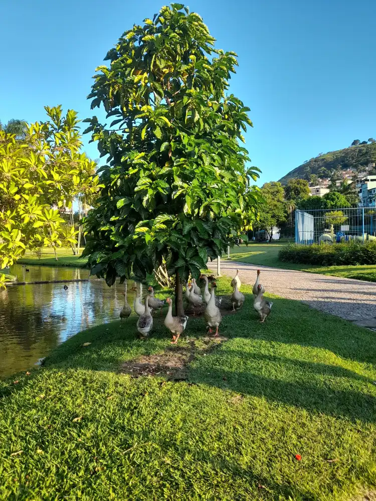 Hotel in zona Parque Municipal Horto de Maruípe