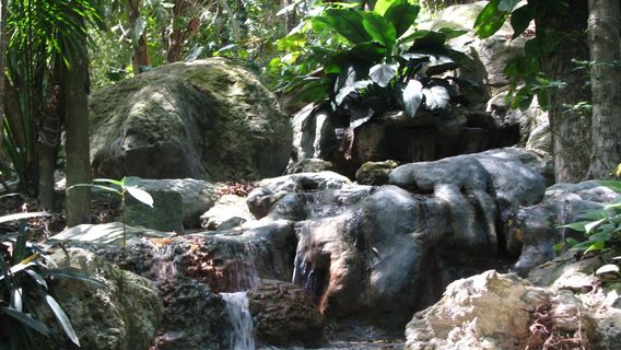 Zoologico Payo Obispo