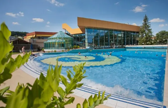 巴特索登-薩爾明斯特